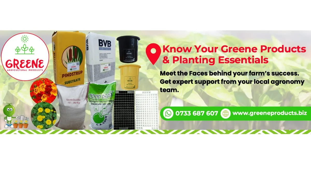 June gardening theme – seasonal planting tips and offers