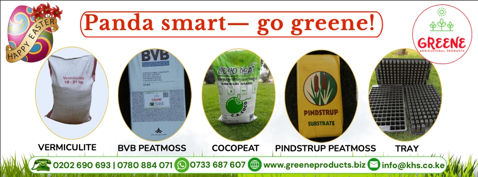 February gardening theme – seasonal planting tips and offers