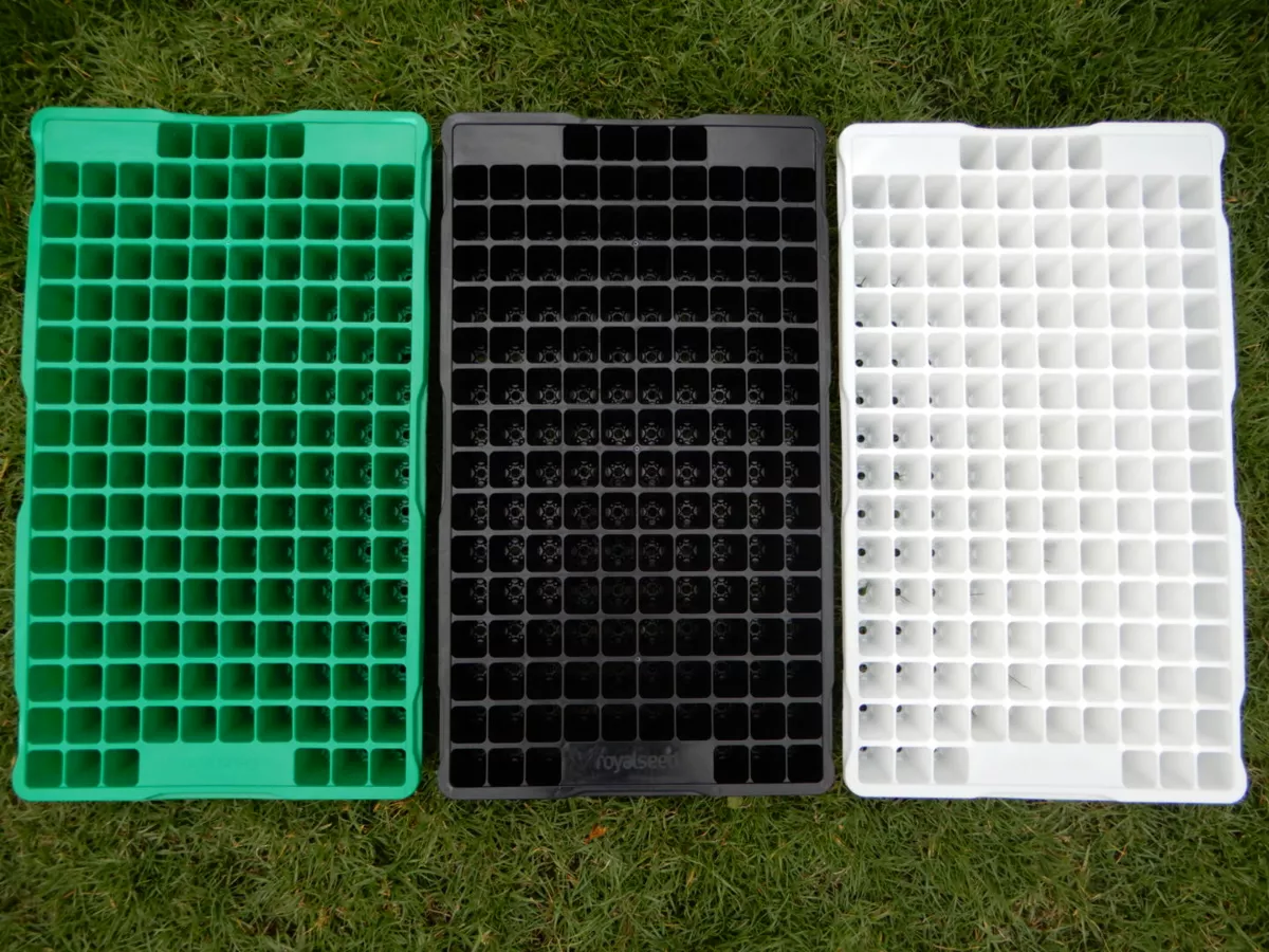Essential planting supplies – seedling trays, flower buckets