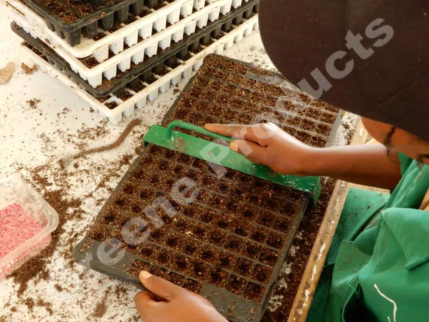 Creating equal holes in the seed tray