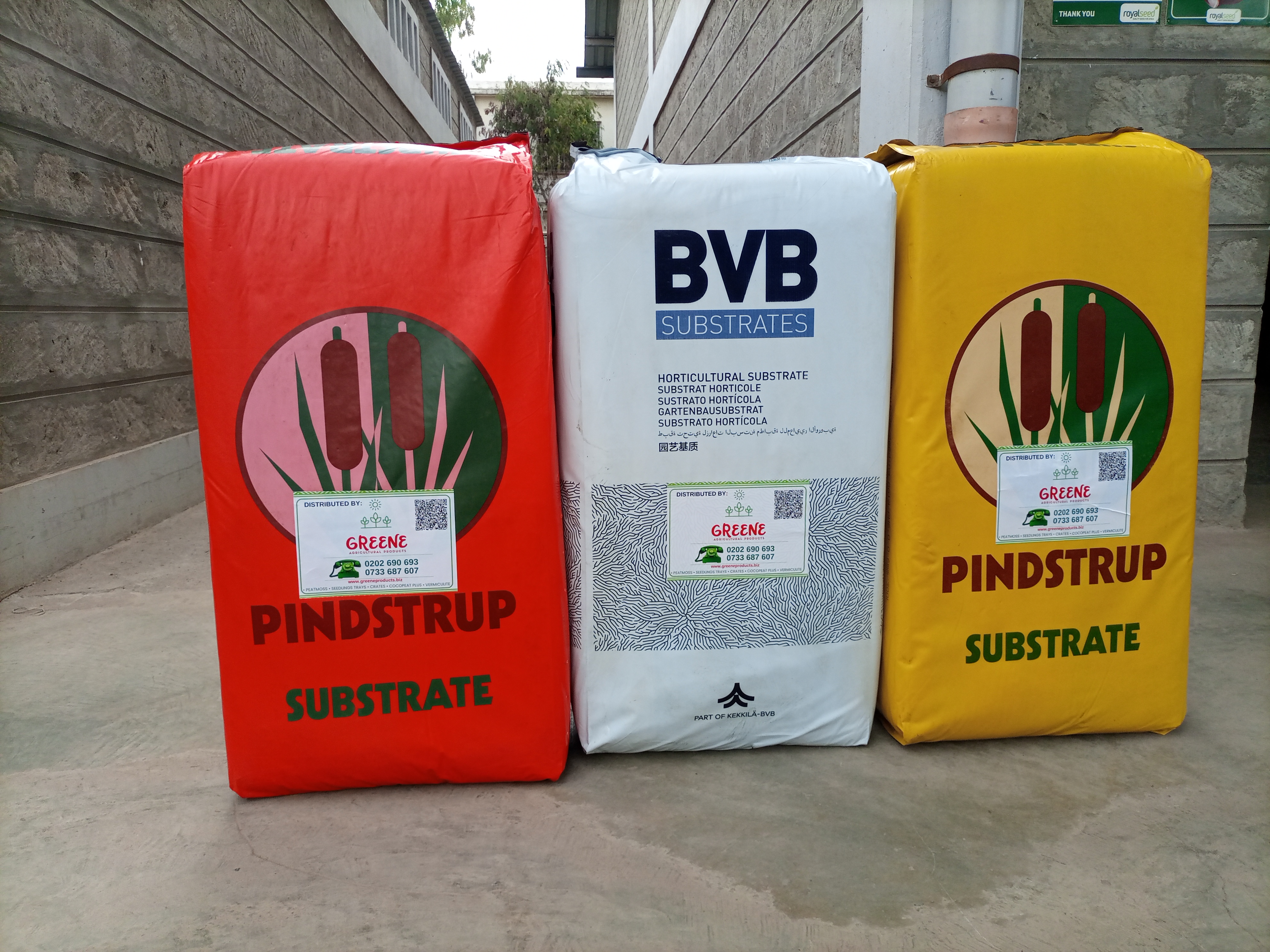 Peat Moss 