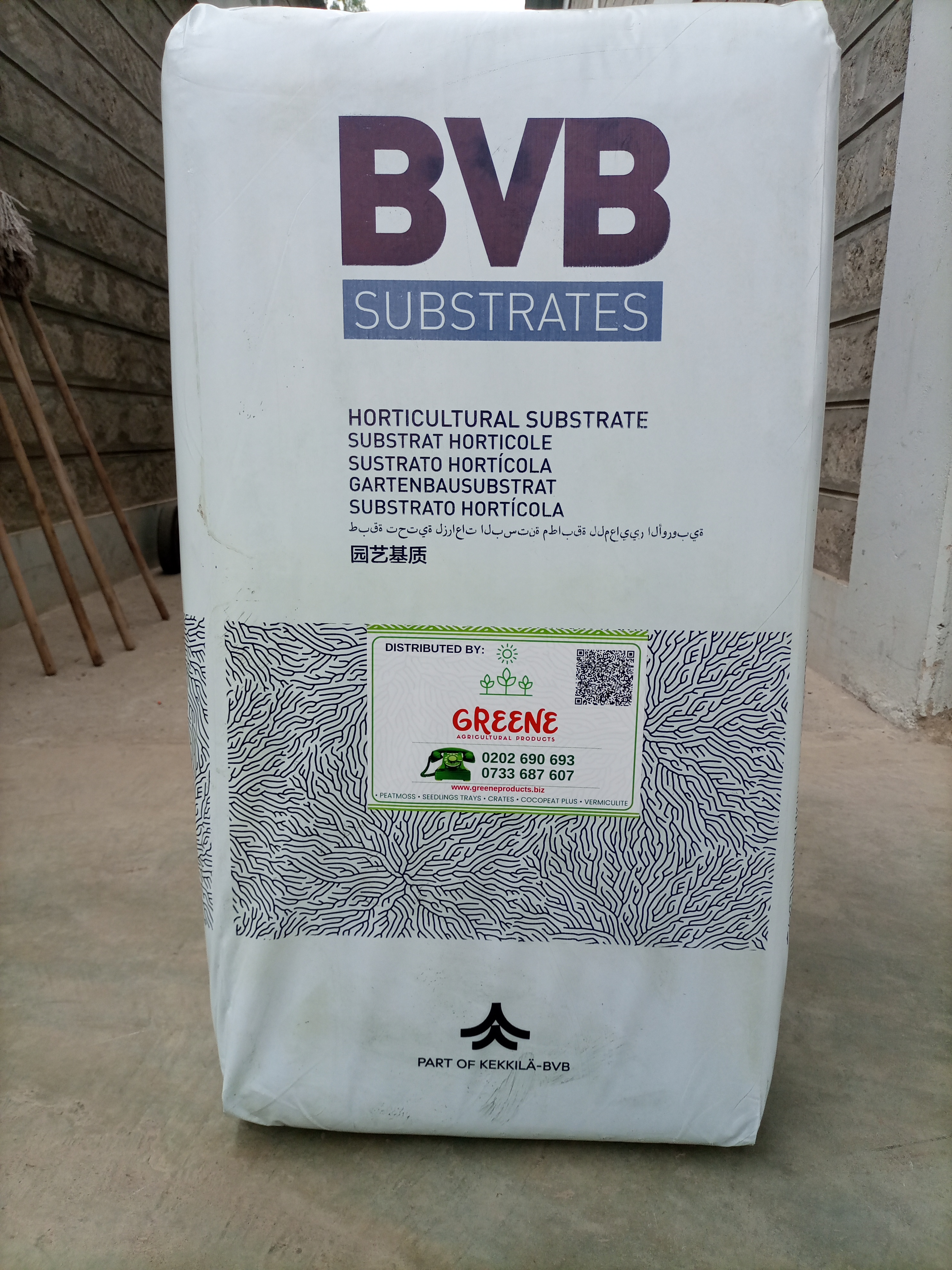 BVB Substrate peat moss variety