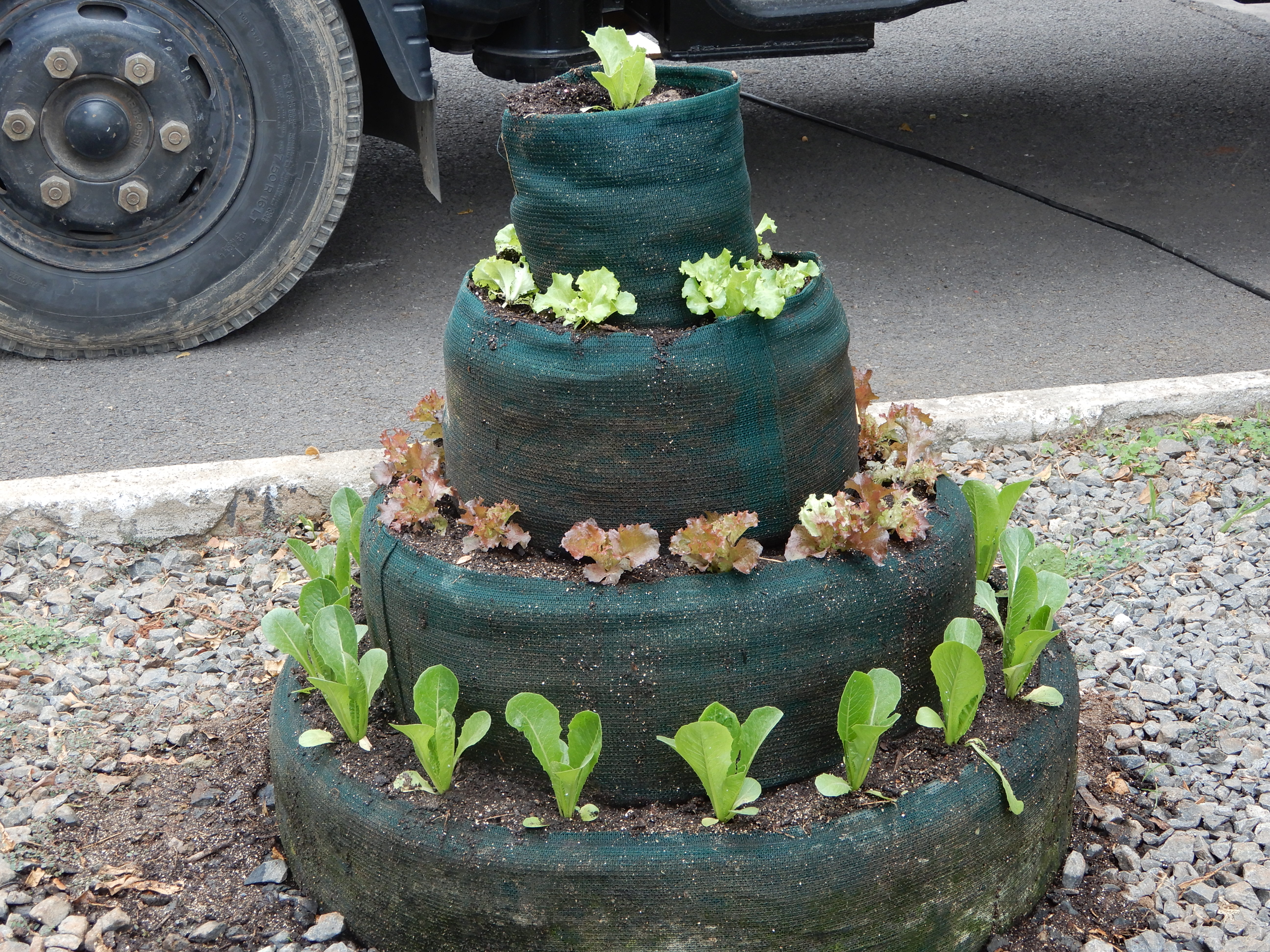 Greene products Flower bucket