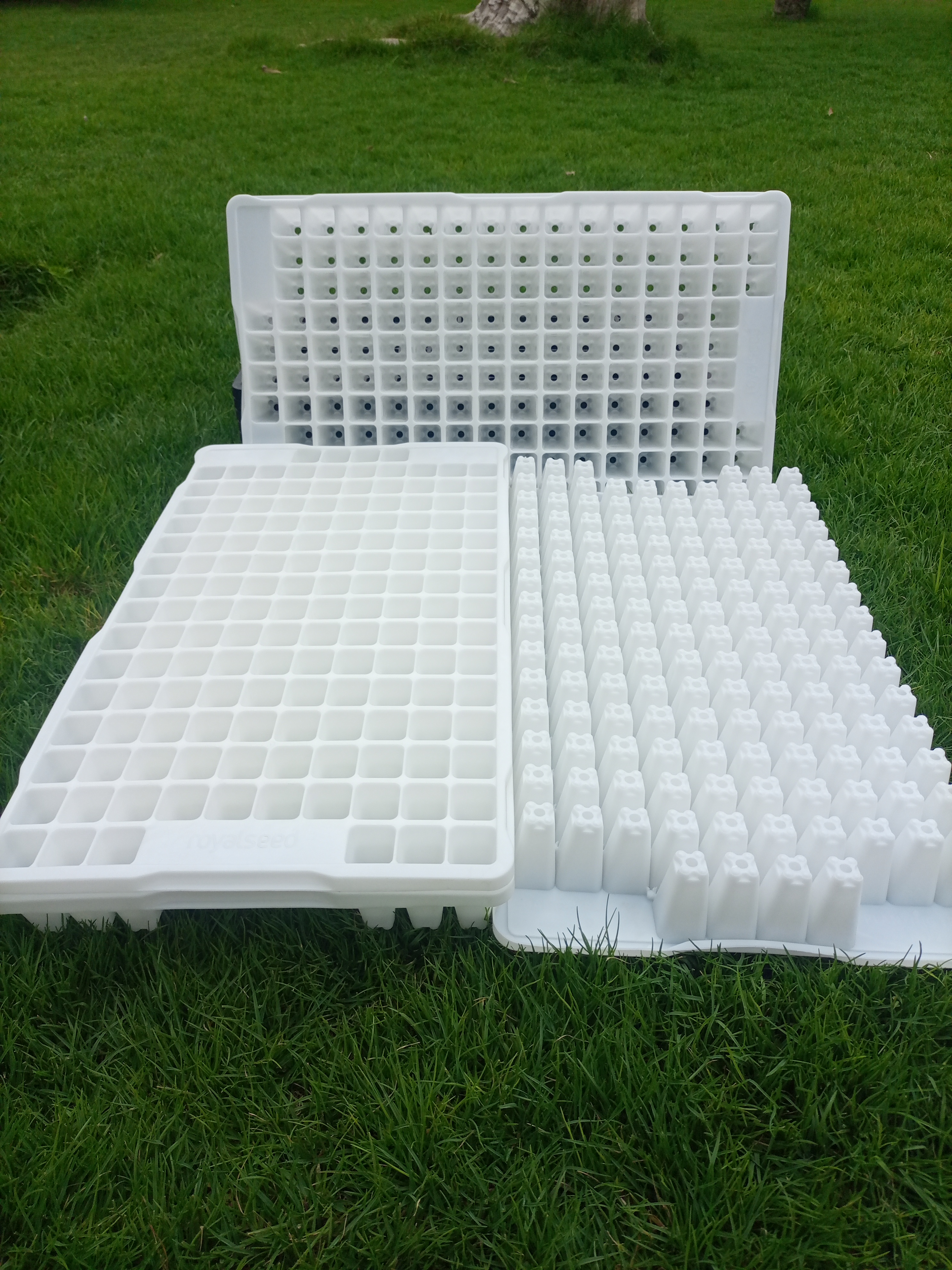 Greene Products  Seedling trays