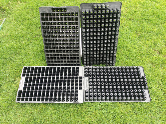 Black Seedling Trays from Greene products