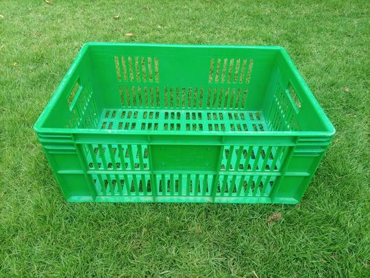 Seedling crates from Greene products