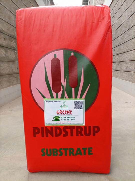 Red Pindstrup  peat moss variety